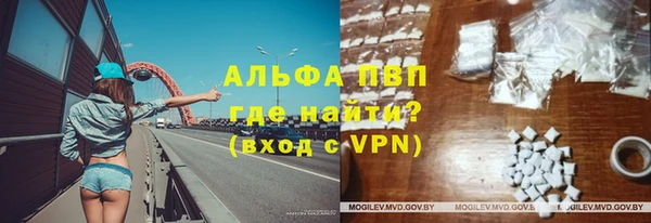 индика Беломорск