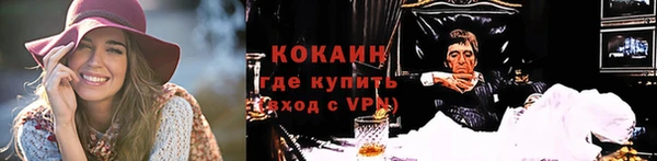индика Беломорск