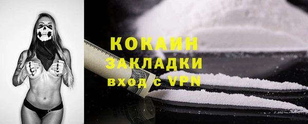крисы Белокуриха