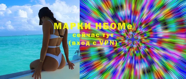 индика Беломорск
