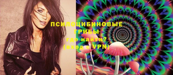 крисы Белокуриха