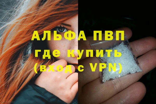 индика Беломорск