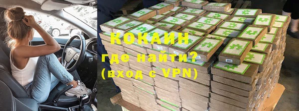 индика Беломорск