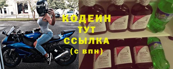 индика Беломорск
