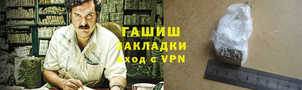 индика Беломорск