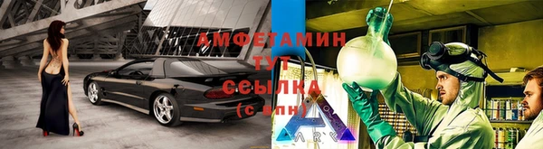 индика Беломорск