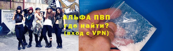 индика Беломорск