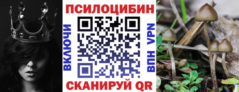 Псилоцибиновые грибы MAGIC MUSHROOMS Кедровый